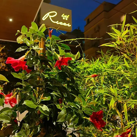 Hotel Ricci 2*